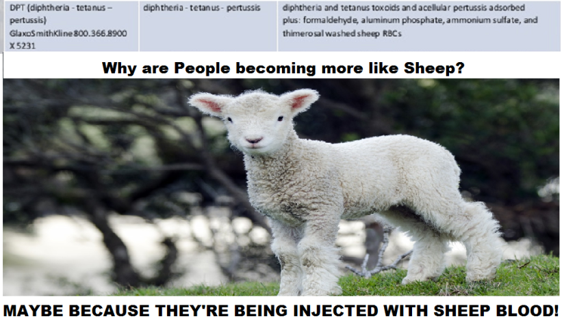 VAX SHEEP BLOOD